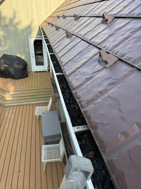 Before: Gutter packed with leaves and debris along a metal roof