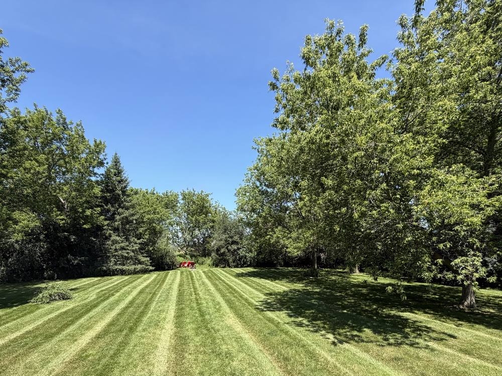 Long striped backyard lawn framed by mature trees