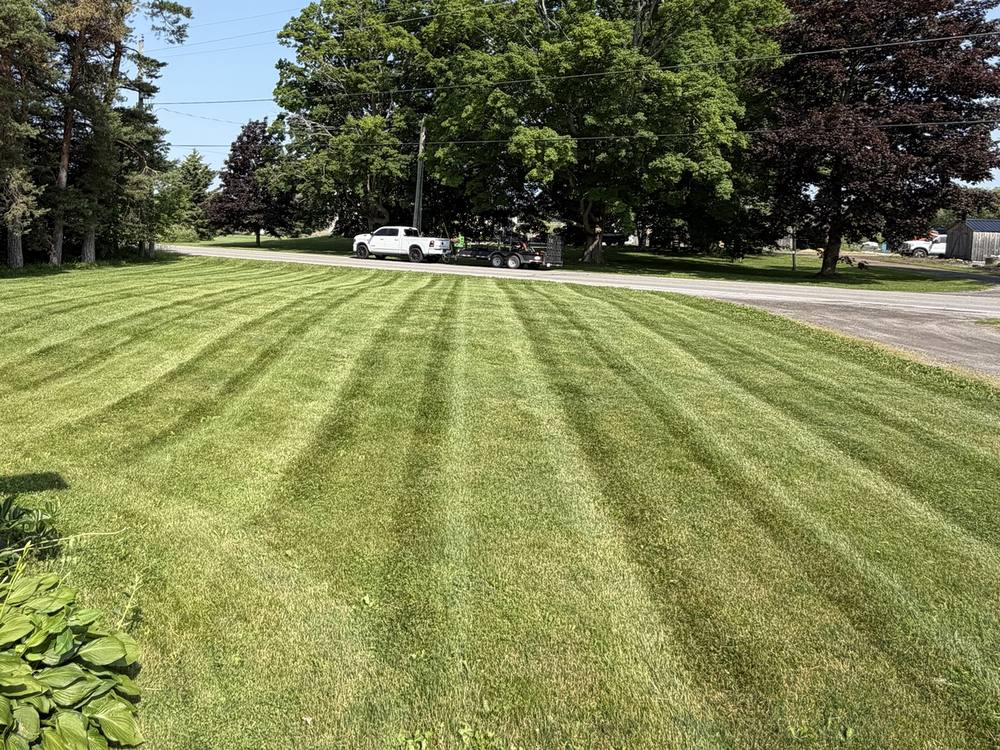 Freshly striped front lawn with our truck and trailer on the road