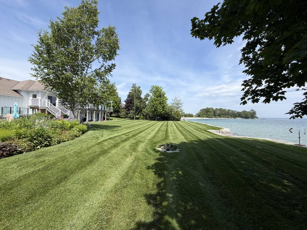Striped waterfront lawn beside a white house with birch trees, looking out to the water